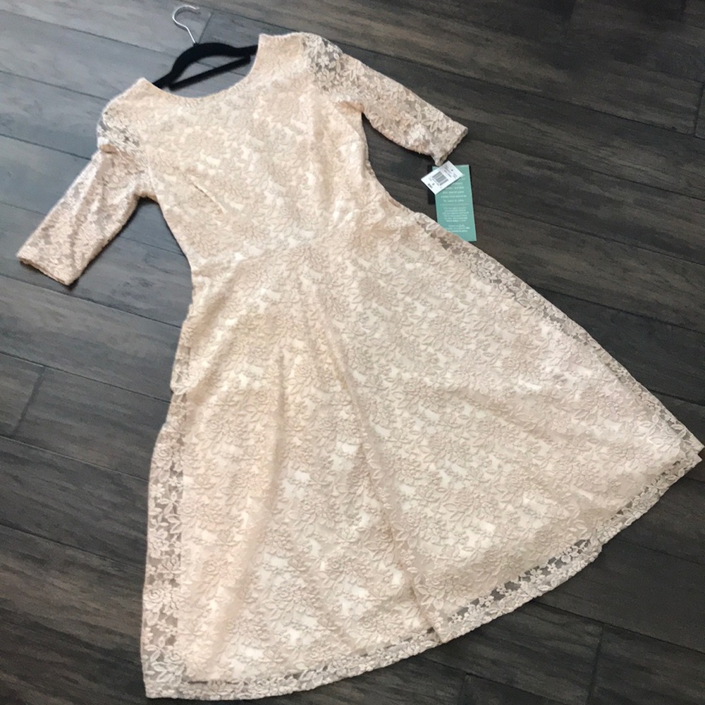 NWT champagne lace cocktail dress - size 8